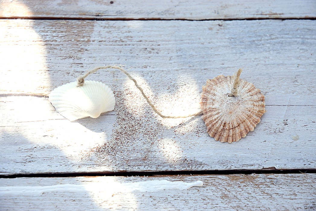 Zusammengebundene Muscheln
