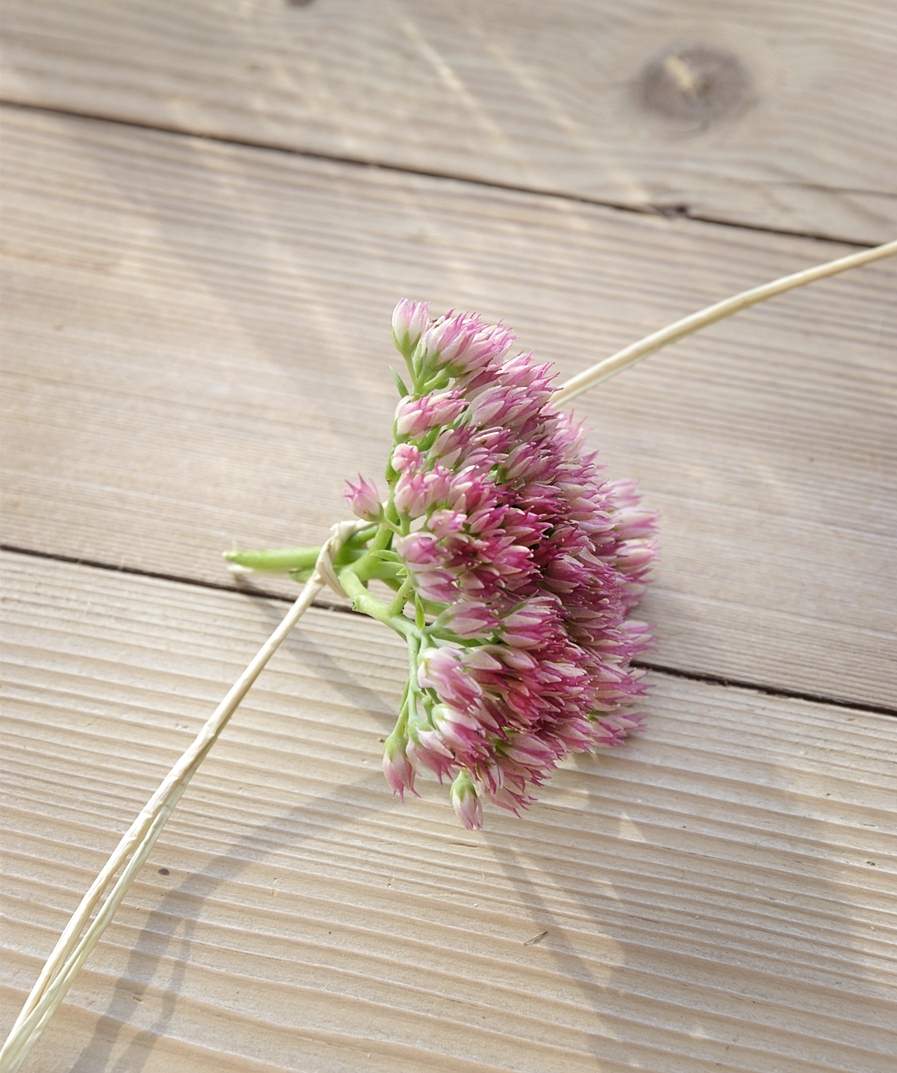 Anleitung Blumen verknoten
