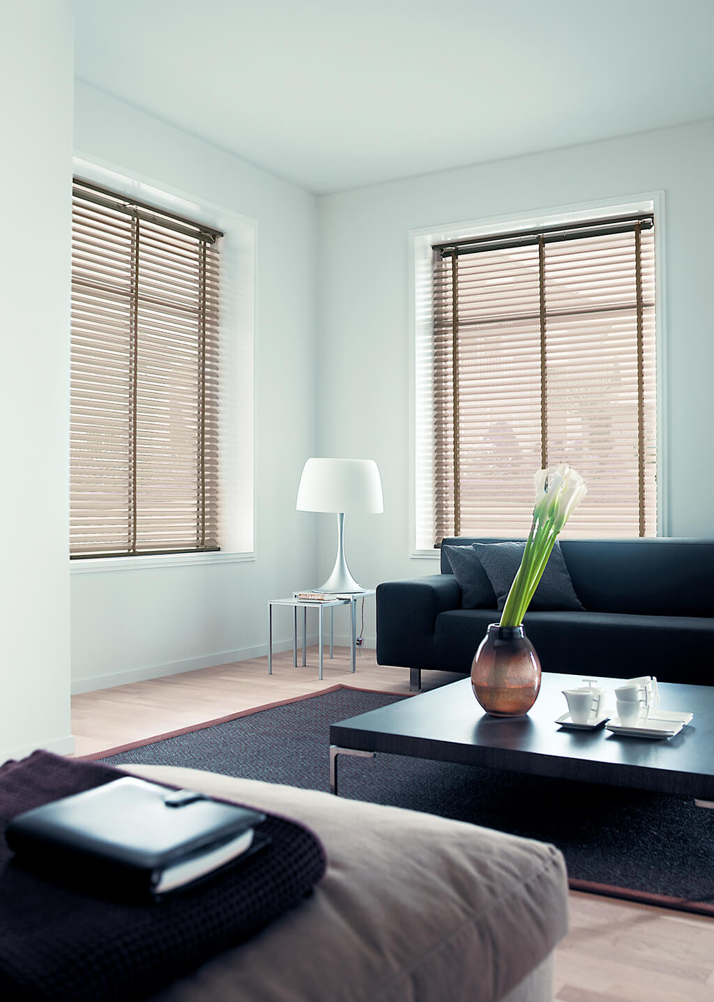 Zwei große Wohnzimmerfenster mit beigen Alu-Jalousien und gleichfarbigen Leiterbändern