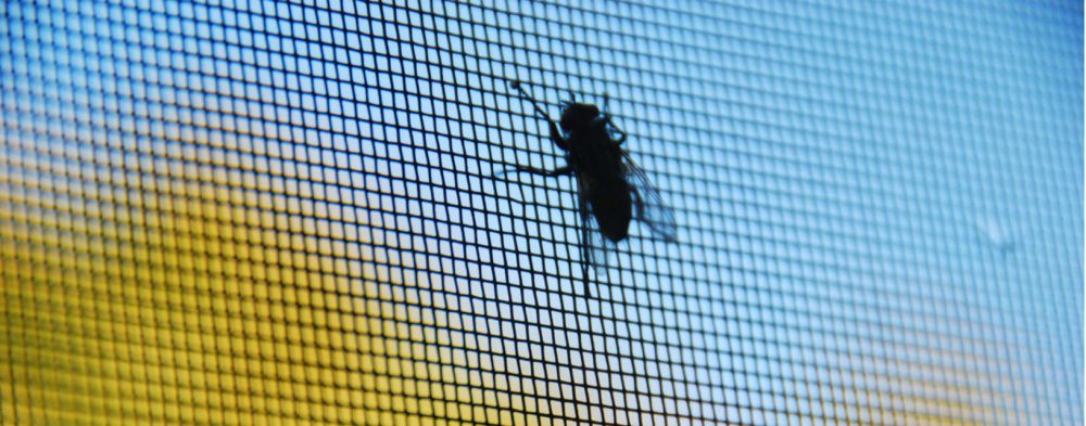 Ruhiger Schlaf im Sommer dank Insektenschutz und Lösungen für alle Fenster