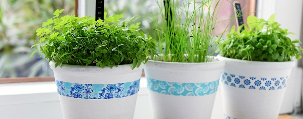 DIY - Kräutergarten auf der Fensterbank