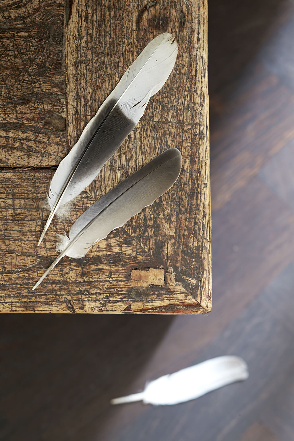 Shabby Chic abgegriffener Holztisch mit Federn Shabby Chic abgegriffener Holztisch mit Federn