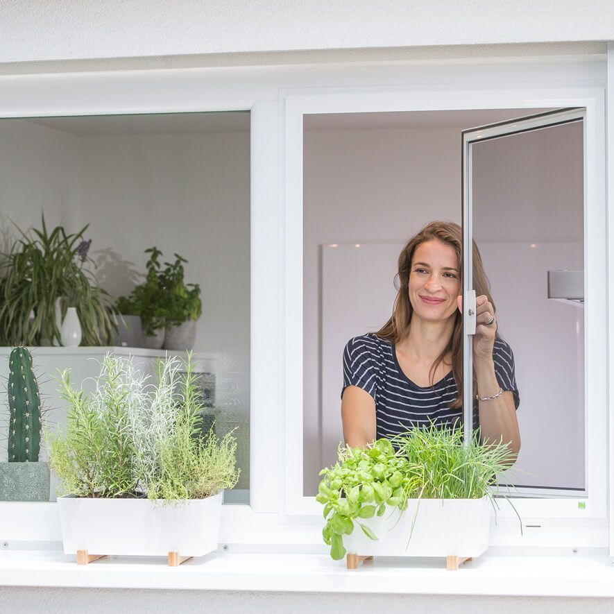 Insektenschutz Drehrahmen für Fenster Insektenschutz Drehrahmenfenster in klassischem Weiß