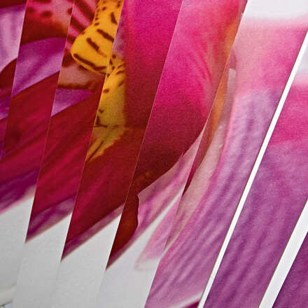 Lamellenvorhänge mit Individualdruck Orchideen