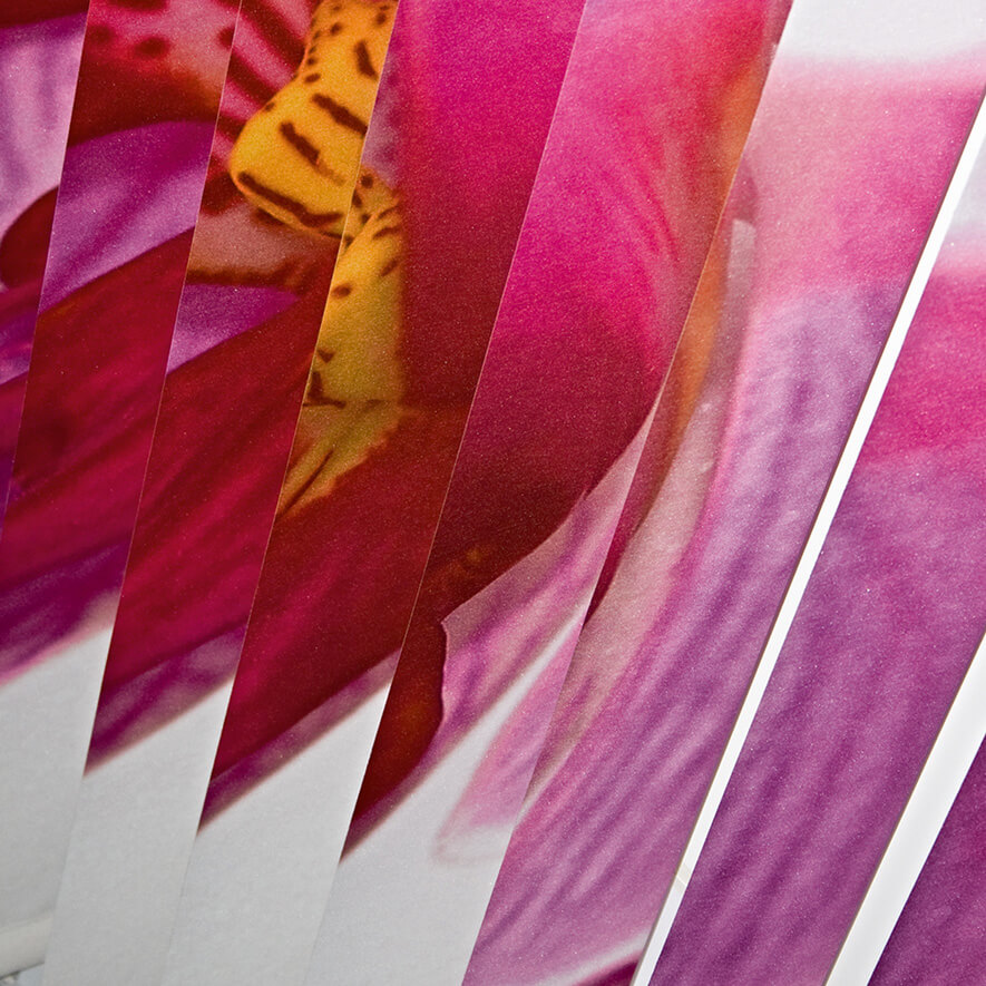 Lamellenvorhänge mit Individualdruck Orchideen
