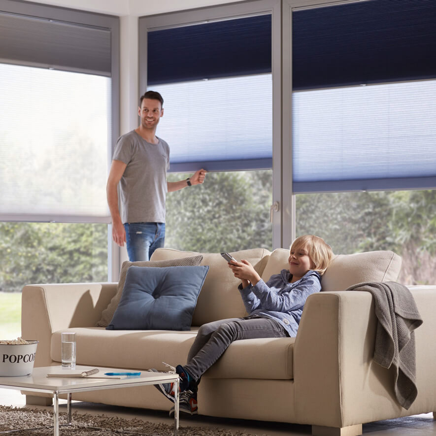 Blau-Graue Tag und Nacht Plissees im Wohnzimmer
