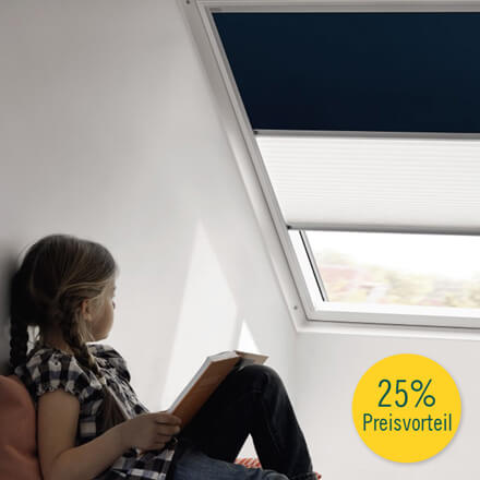 VELUX®-Vorteilset Plisssee & Verdunkelungsrollo